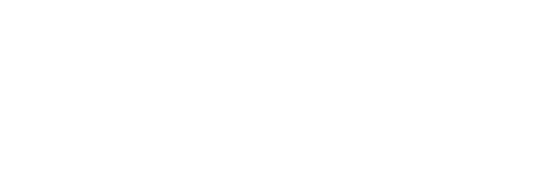 vladicamp logo light vladicamp logo light